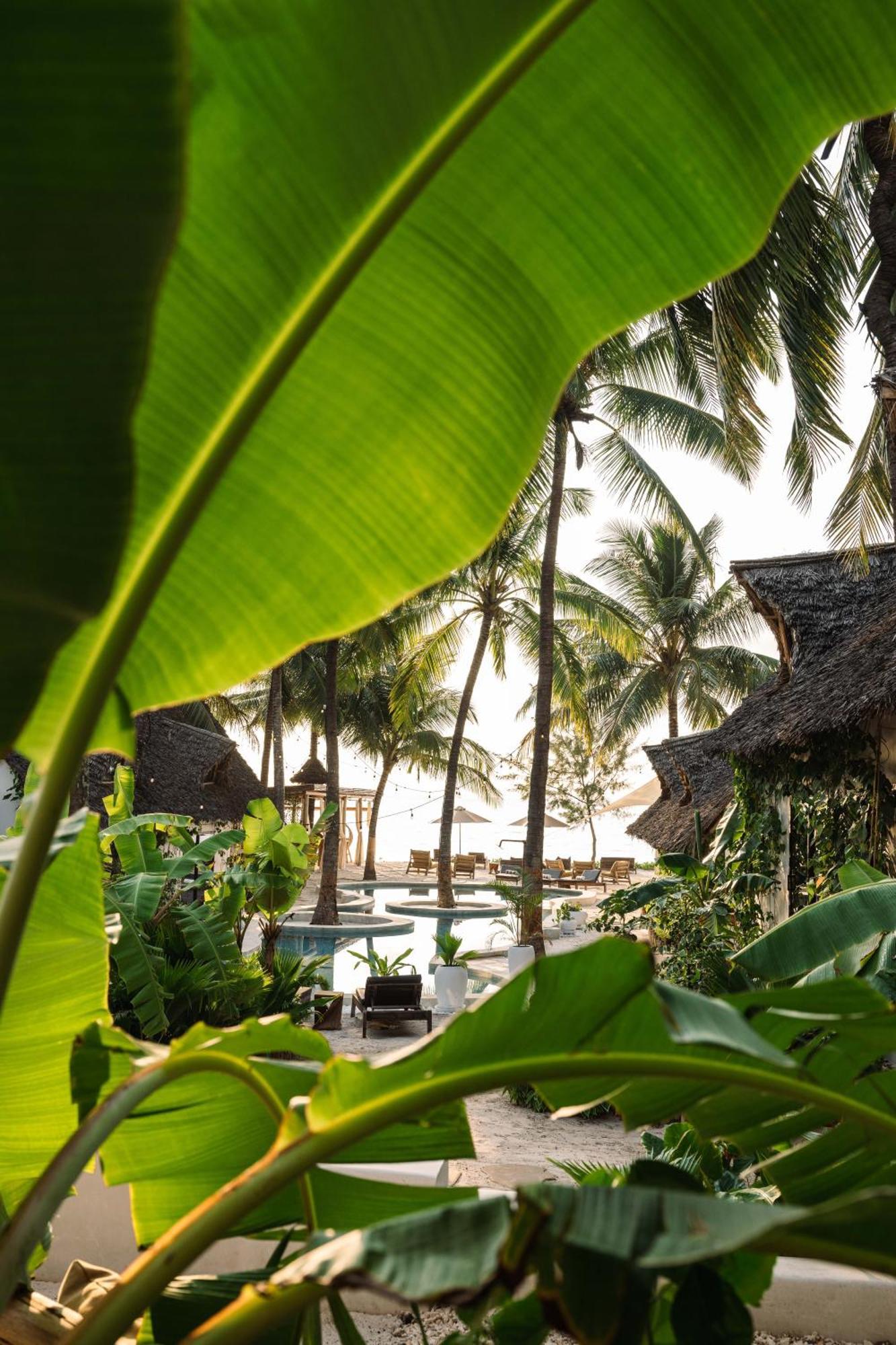 Mala Boutique Hotel Bwejuu Zewnętrze zdjęcie